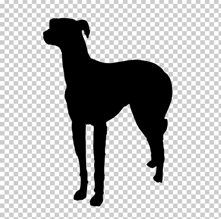 Italian Greyhound Pet Sitting Dog Walking Dog Breed PNG, Clipart, Black, Black And White, Breed, Breeder, Carnivoran Free PNG Download