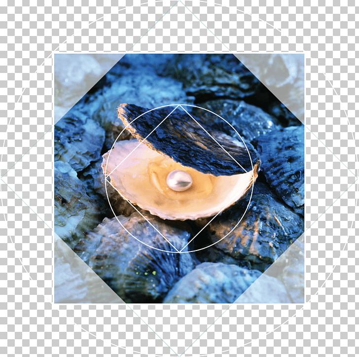 Oyster Pearl Hunting Underwater Diving Tahitian Pearl PNG, Clipart, Closeup, Earring, Fishing, Gemstone, Jewellery Free PNG Download
