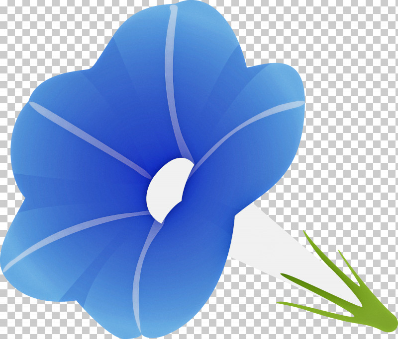 Morning Glory Flower PNG, Clipart, Anthurium, Flower, Herbaceous Plant, Morning Glory, Morning Glory Flower Free PNG Download