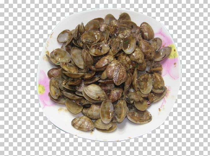 Clam PNG, Clipart, Animal Source Foods, Clam, Clams Oysters Mussels And Scallops, Dish, Down Free PNG Download