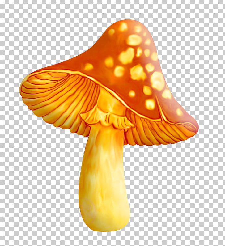 Common Mushroom Computer Icons PNG, Clipart, Amanita Muscaria, Common Mushroom, Computer Icons, Computer Software, Death Cap Free PNG Download