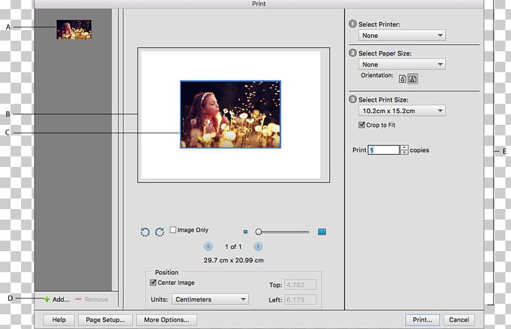 Computer Software Adobe Photoshop Elements Printer Printing Preview PNG, Clipart, Adobe Photoshop Elements, Adobe Photoshop Express, Adobe Systems, Area, Brand Free PNG Download