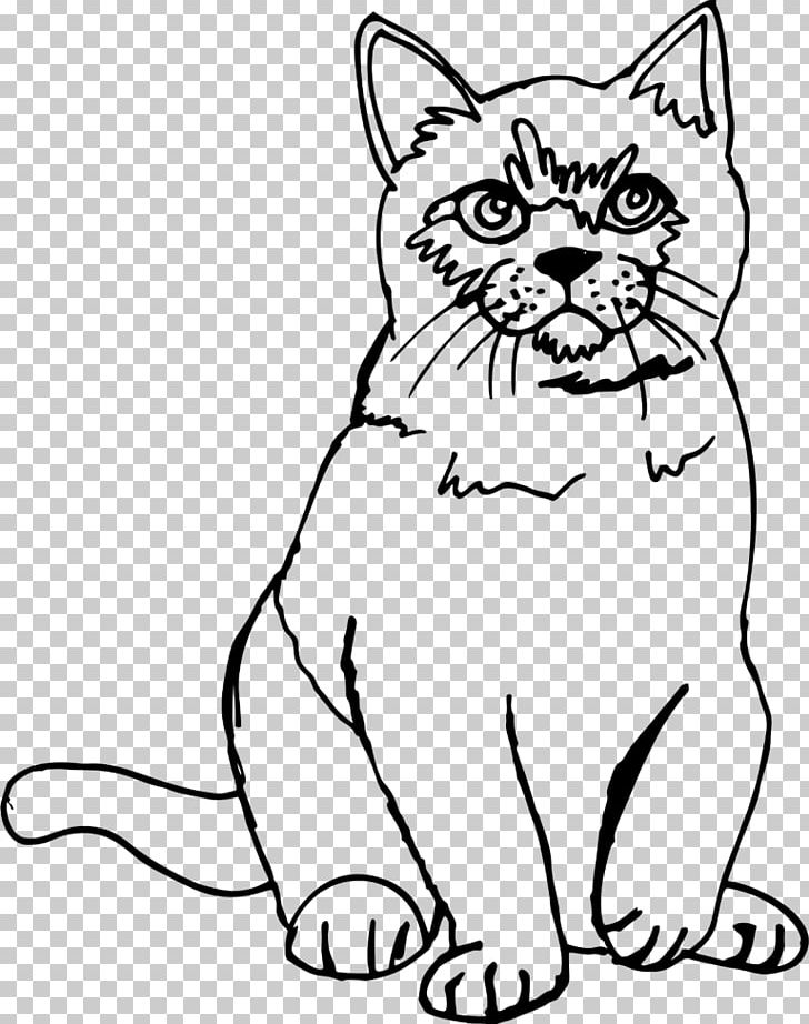 Kitten Sphynx Cat Line Art Drawing Sketch PNG, Clipart, Animals, Big Cat, Black, Black And White, Black Cat Free PNG Download
