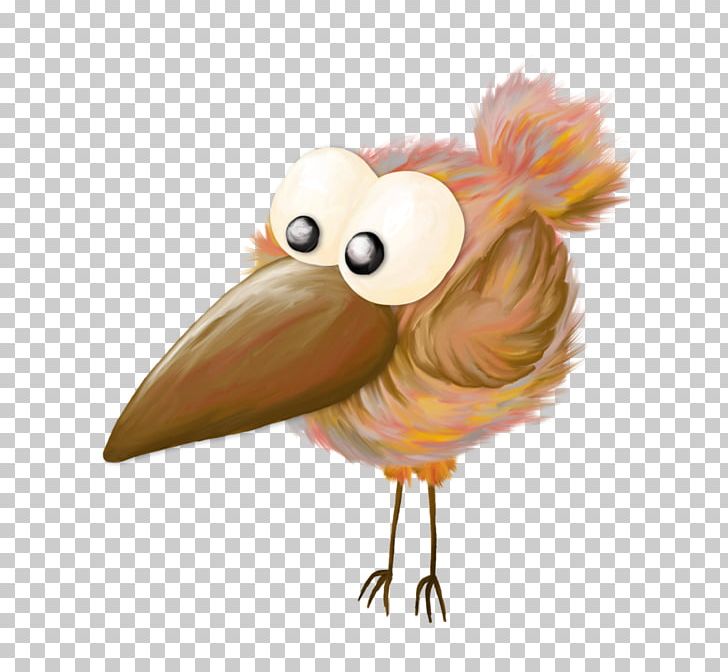 Chicken Bird Cartoon PNG, Clipart, Animals, Beak, Bird, Blog, Cartoon Free PNG Download