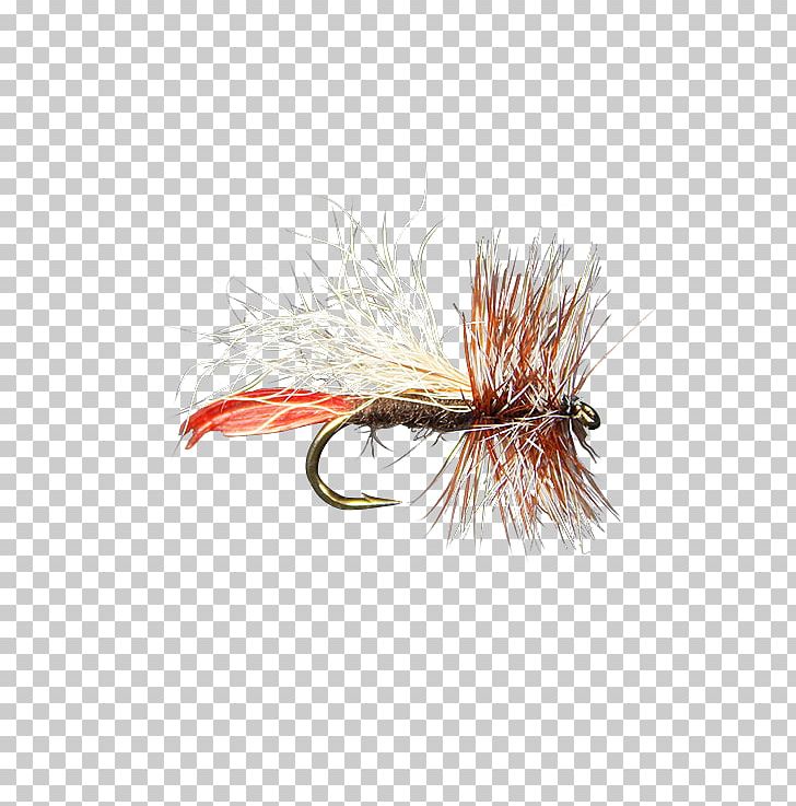 Artificial Fly Northern Pike Fly Fishing Royal Wulff PNG, Clipart, Artificial Fly, Atlantic Tarpon, Dry Fly Fishing, Fishing, Fishing Bait Free PNG Download