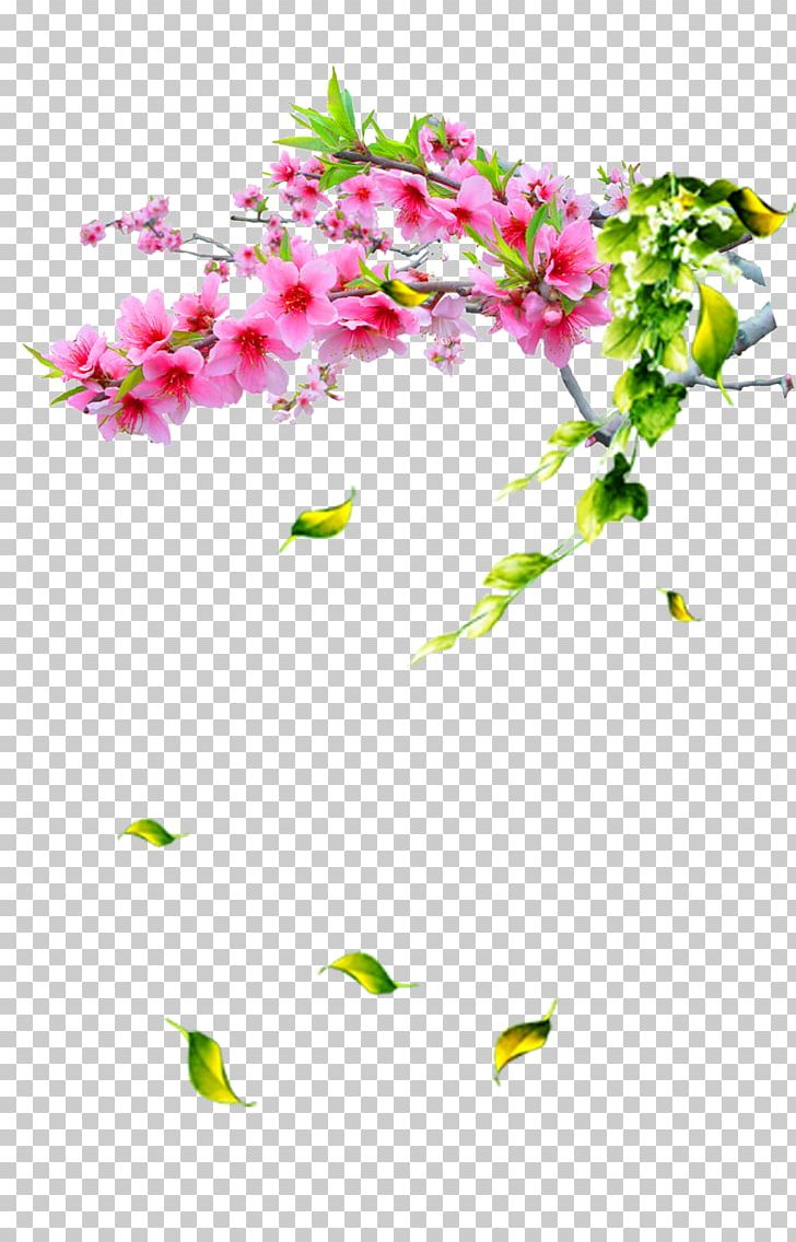 Chinese New Year Peach PNG, Clipart, Branch, Dahlia, Flower, Flower Arranging, Free Logo Design Template Free PNG Download