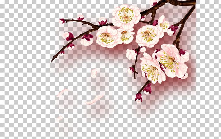Chinese New Year Plum Blossom PNG, Clipart, Blossom, Branch, Computer Wallpaper, Flower, Flower Arranging Free PNG Download