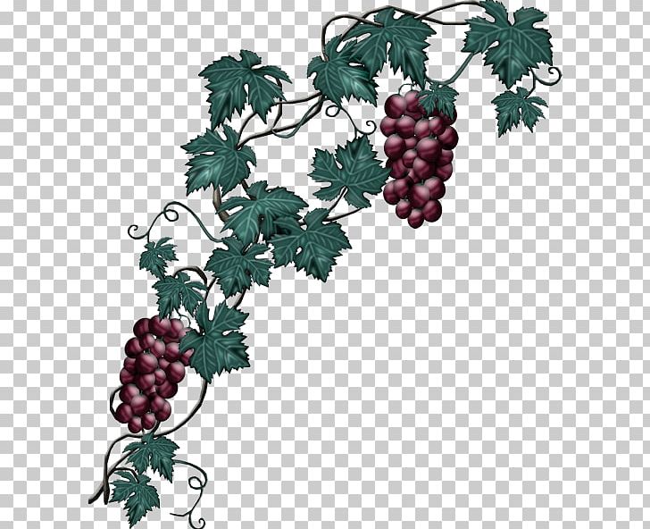 Grape Wine PNG, Clipart, Auglis, Branch, Flowering Plant, Food, Fruit Free PNG Download