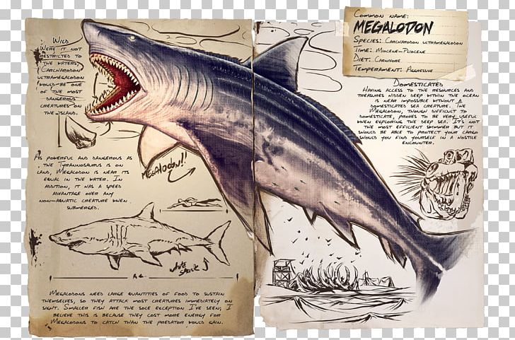 ARK: Survival Evolved Shark Megalodon Parasaurolophus Pteranodon PNG, Clipart, Animals, Ark, Ark Survival, Ark Survival Evolved, Carcharodon Free PNG Download