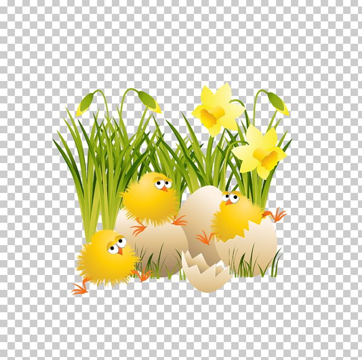 Chicken Easter PNG, Clipart, Cartoon, Chick, Clipart, Computer Wallpaper, Download Free PNG Download