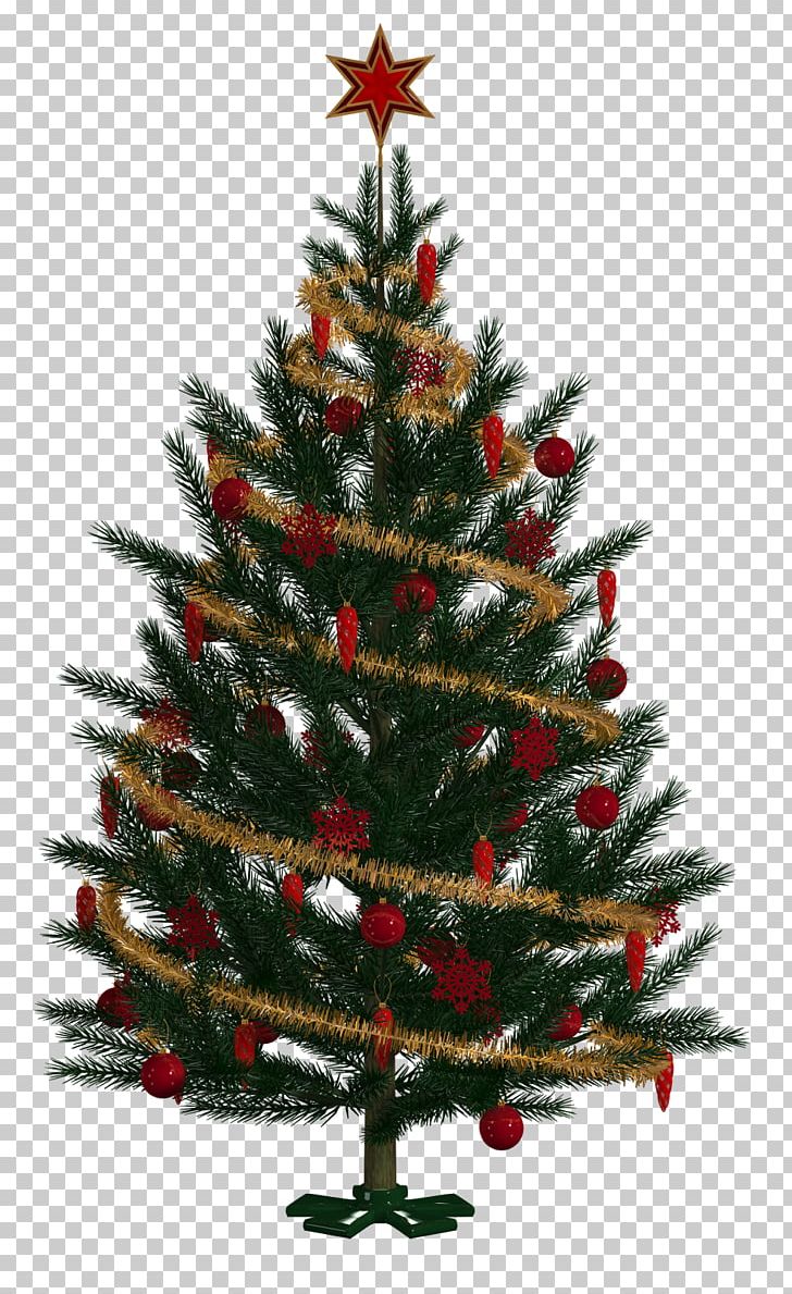 Christmas Tree Spruce Christmas Ornament Fir Pine PNG, Clipart, Christmas, Christmas Decoration, Christmas Ornament, Christmas Tree, Conifer Free PNG Download