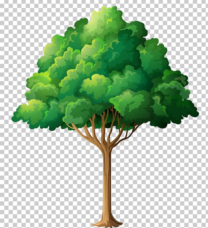 Garden Tree PNG, Clipart, Branch, Cartoon, Drawing, Father, Garden Free PNG  Download