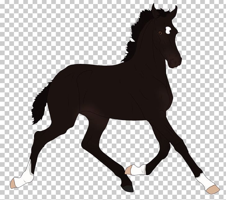 Foal Stallion Mare Mustang Colt PNG, Clipart, Bridle, Colt, English Riding, Equestrian, Equestrian Sport Free PNG Download
