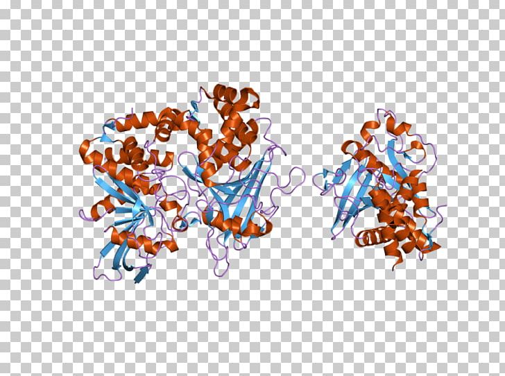 PTPRD Protein Tyrosine Phosphatase Receptor Illustration PNG, Clipart, Art, Computer Wallpaper, Desktop Wallpaper, Domain, Ebi Free PNG Download