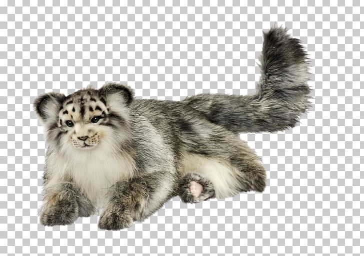 Whiskers Wildcat Felidae Pallas's Cat PNG, Clipart,  Free PNG Download