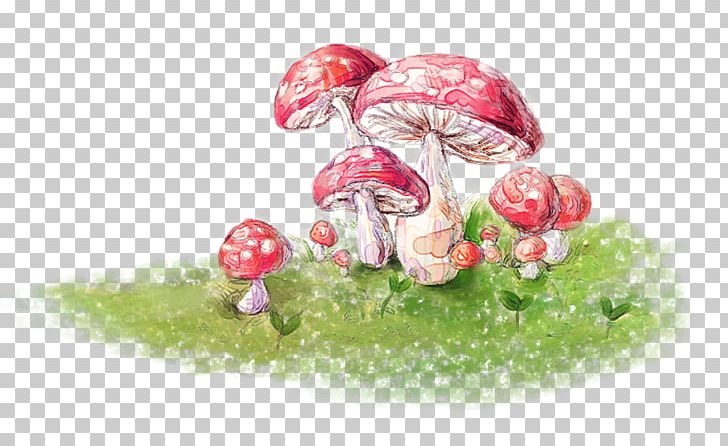 Mushroom Fungus Euclidean PNG, Clipart, Botany, Cartoon Mushroom, Creative, Creative Mushrooms, Drawn Free PNG Download