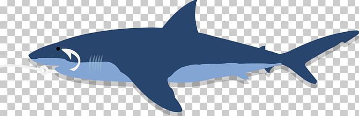 Requiem Sharks Marine Biology Fauna PNG, Clipart, Biology, Cartilaginous Fish, Fauna, Fin, Fish Free PNG Download