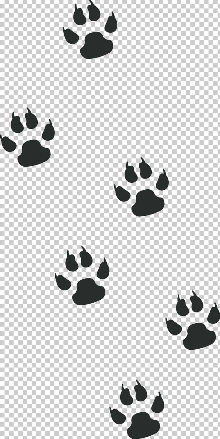 Scrapbooking Pattern PNG, Clipart, Animal, Anonymity, Black, Black And White, Black M Free PNG Download
