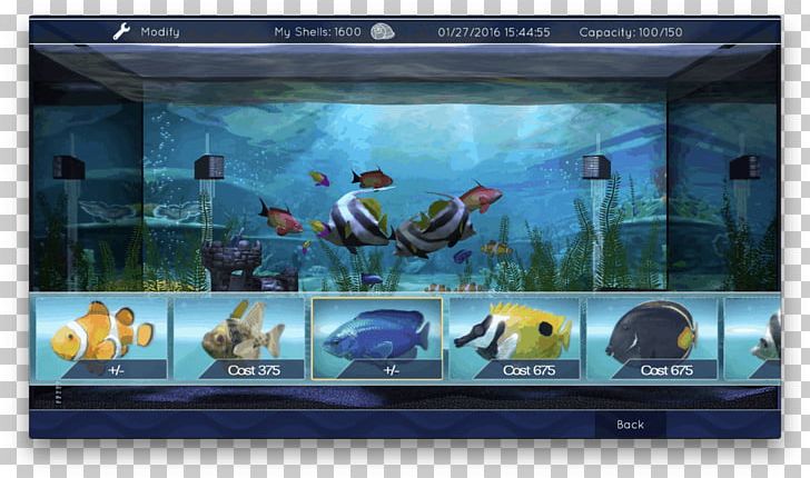 Aquarium Screensaver Apple TV Television Desktop PNG, Clipart, Aquarium, Computer Wallpaper, Desktop Wallpaper, Display Advertising, Fish Free PNG Download