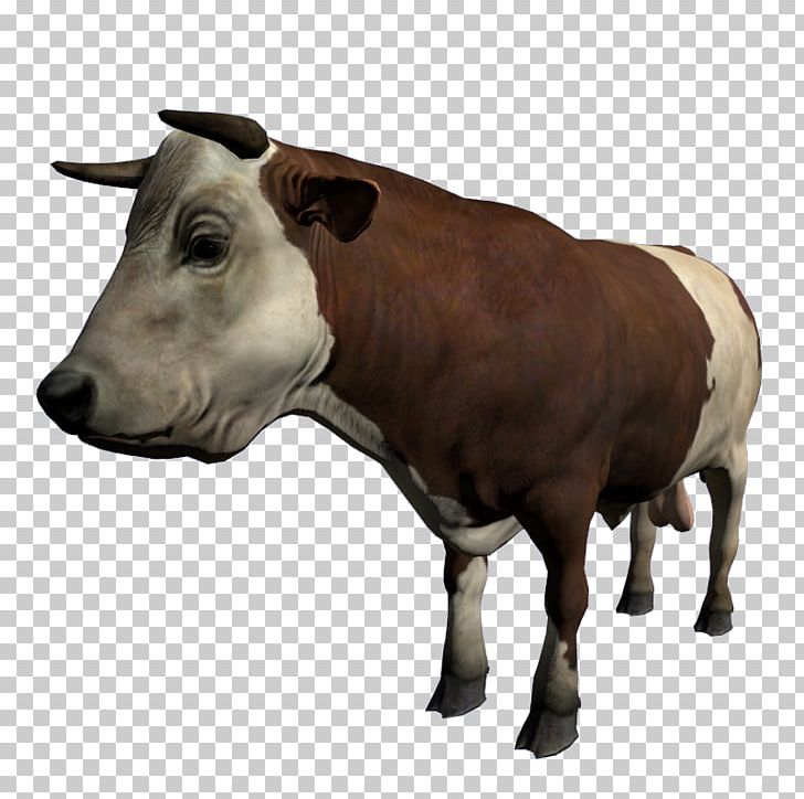 Cattle Ox Bull Calf DayZ PNG, Clipart, Animal, Animals, Bull, Calf, Cattle Free PNG Download