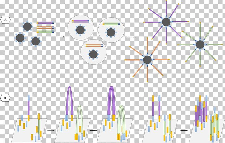 DNA Sequencing Pyrosequencing Massive Parallel Sequencing Sanger Sequencing Illumina PNG, Clipart, Angle, Circle, Diagram, Dna Sequencing, Electronics Free PNG Download