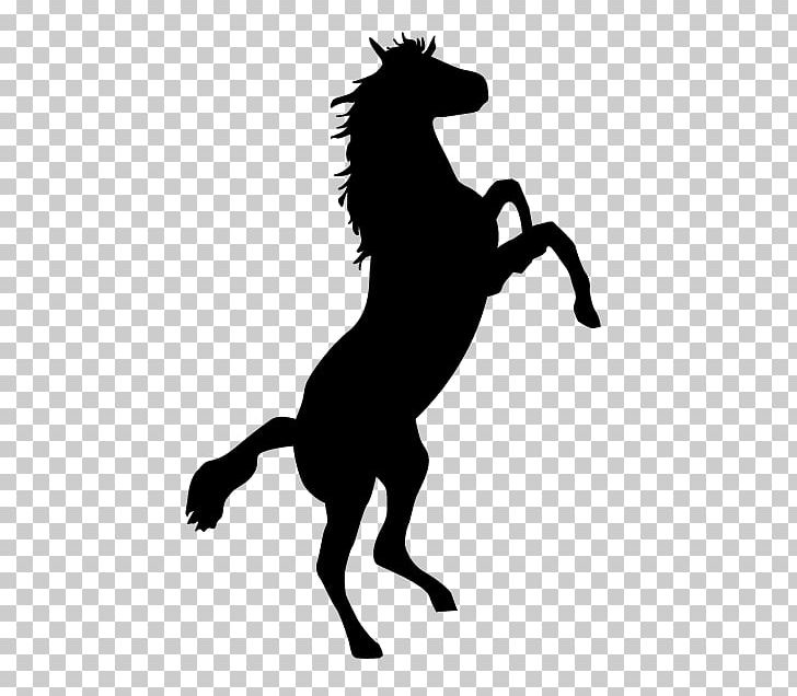 Horse Bronco Stallion Bronc Riding PNG, Clipart, Animal Illustration, Animals, Black, Cowboy, Dog Like Mammal Free PNG Download