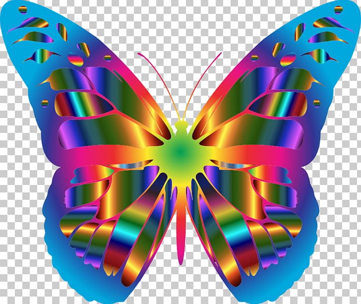 Monarch Butterfly PNG, Clipart, Animal, Arthropod, Brush Footed Butterfly, Butterflies And Moths, Butterfly Free PNG Download