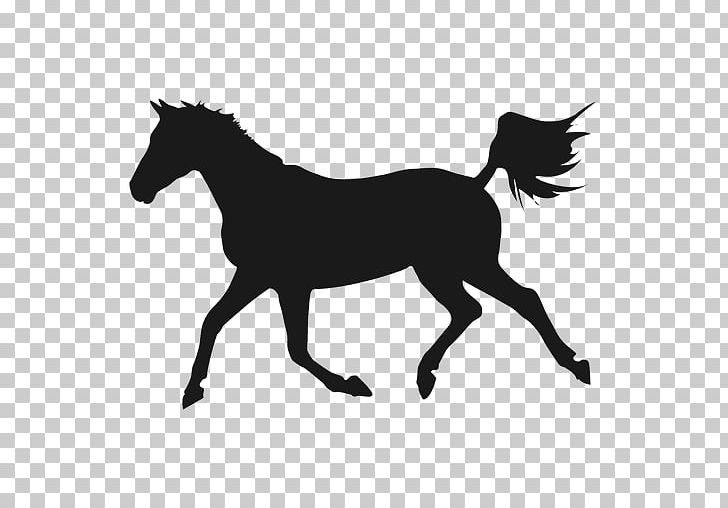Shagya Arabian Mare Equestrian PNG, Clipart, Animals, Black, Black And White, Black Horse, Equestrian Sport Free PNG Download