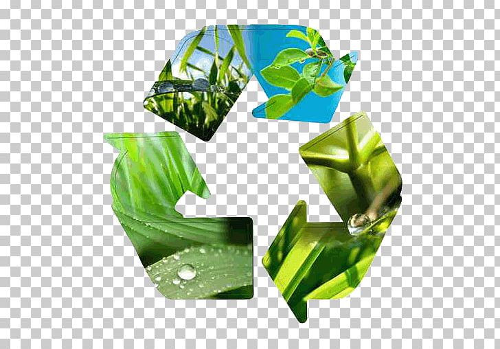 Sustainability Natural Environment Innovation Industry Technology PNG, Clipart, Compost, Engineering, Food, Grass, Green Free PNG Download