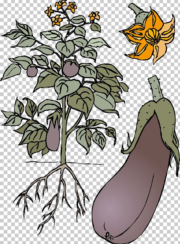 Eggplant Vegetable PNG, Clipart, Art, Artwork, Branch, Cartoon, Eggplant Free PNG Download
