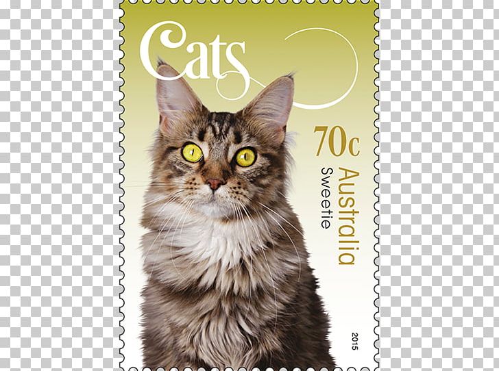 Maine Coon Whiskers Tabby Cat Postage Stamps Mail Png Clipart