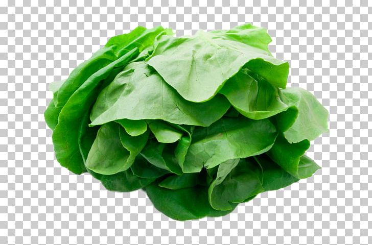 Romaine Lettuce Vegetable PNG, Clipart, Chard, Choy Sum, Collard Greens, Cruciferous Vegetables, Food Free PNG Download