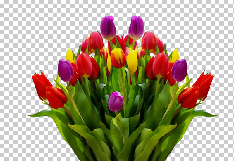 Floral Design PNG, Clipart, Bouquet, Bud, Crocus, Cut Flowers, Floral Design Free PNG Download