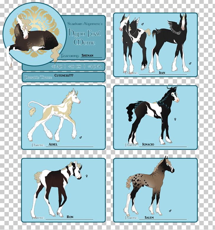 Dog Breed Mustang Stallion Pony PNG, Clipart, Bby Shy, Breed, Carnivoran, Dog, Dog Breed Free PNG Download