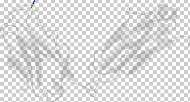 Line Art Drawing White PNG, Clipart, Art, Artwork, Bindweed, Black And White, Branch Free PNG Download