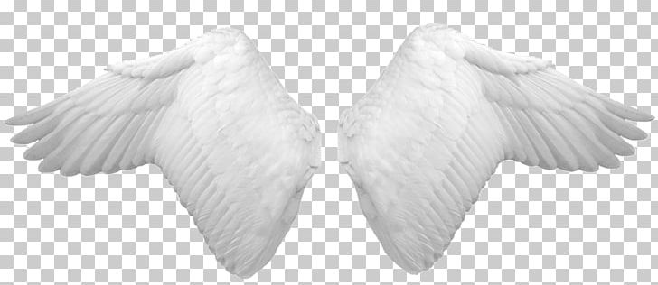Wing PNG, Clipart, Beak, Black And White, Computer Icons, Desktop Wallpaper, Editing Free PNG Download