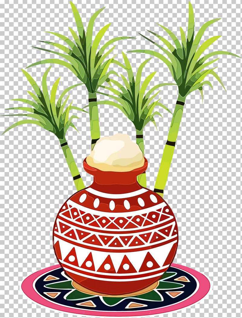 Plants Tree Arecales Flowerpot Fruit PNG, Clipart, Arecales, Biology, Flowerpot, Fruit, Paint Free PNG Download