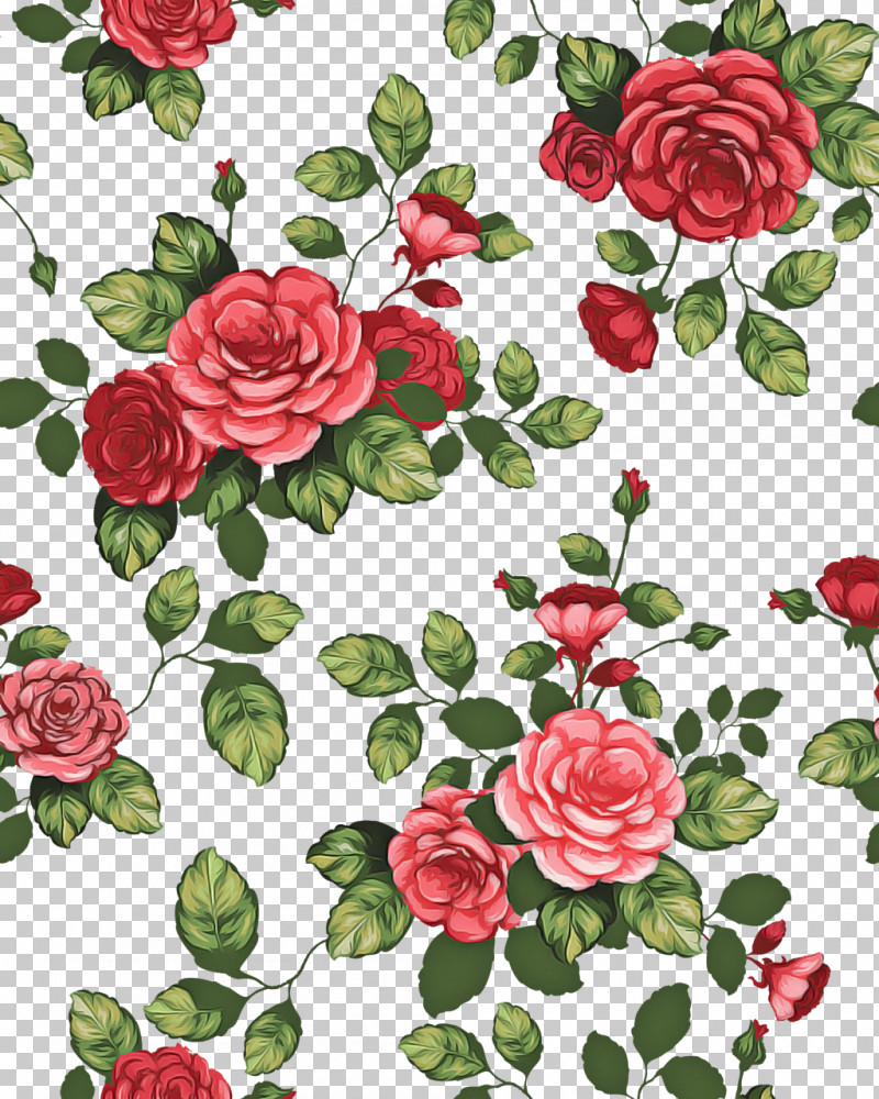Garden Roses PNG, Clipart, Camellia, Floral Design, Floribunda, Flower, Garden Roses Free PNG Download