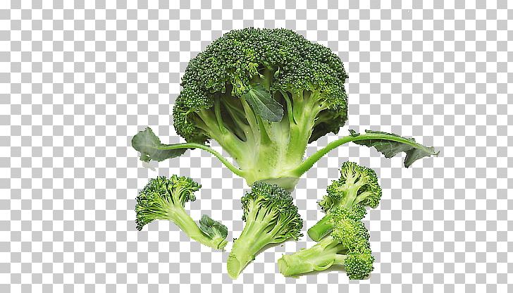 Broccoli Cauliflower Vegetable Food Nutrition PNG, Clipart, Broccoli, Broccoli 0 0 3, Broccoli Art, Broccoli Dog, Broccoli Sprout Free PNG Download