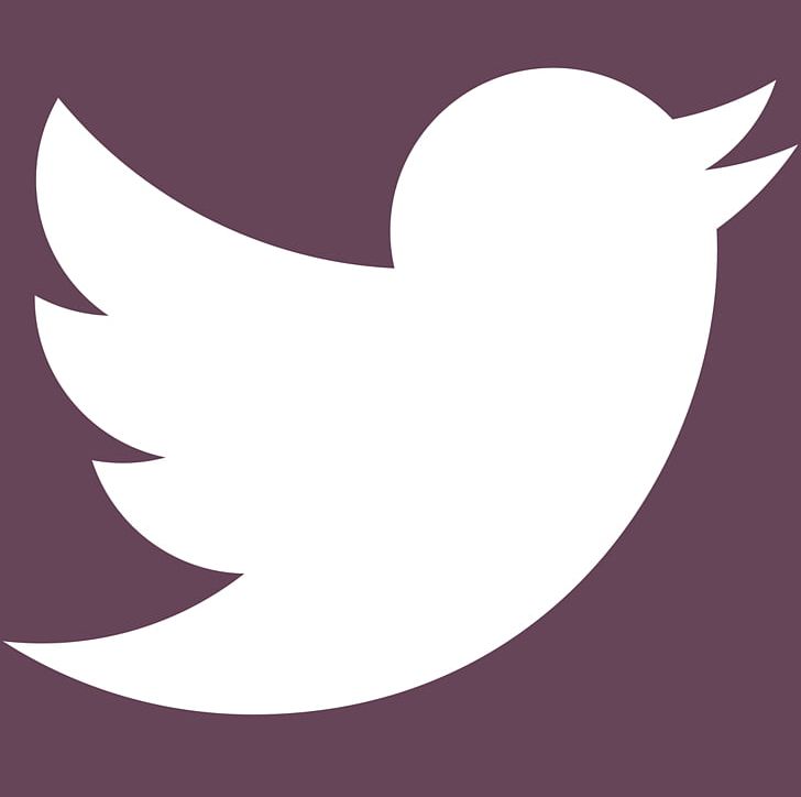 Social Media Computer Icons Logo Instagram Blog PNG, Clipart, Beak, Bird, Blog, Brand, Business Free PNG Download