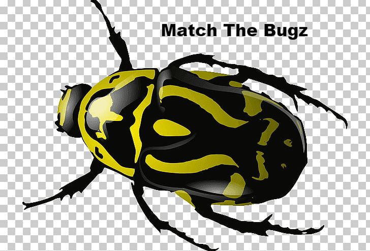 Beetle PNG, Clipart, Animals, Arthropod, Artwork, Beetle, Blog Free PNG Download
