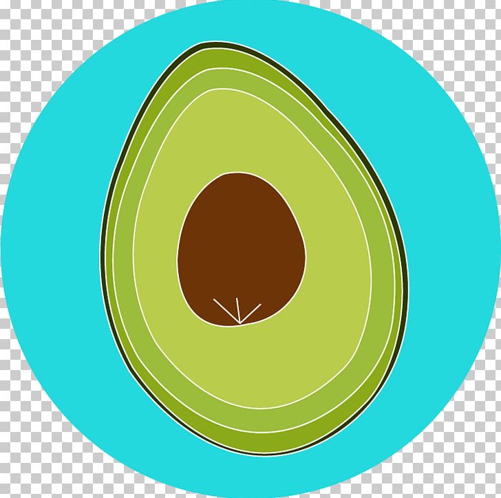 Circle Line Oval PNG, Clipart, Avocado, Circle, Education Science, Fruit Nut, Green Free PNG Download