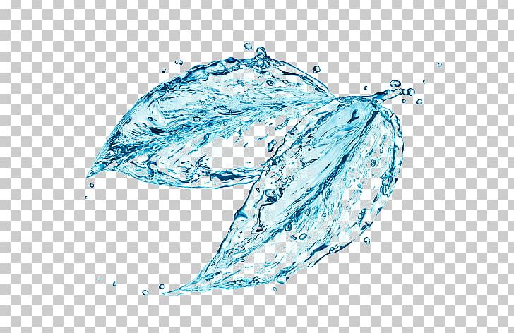 Coconut Water Flower Stock Photography Water Ionizer PNG, Clipart, Blue, Dolphi, Drinking Water, Drop, Floating Free PNG Download