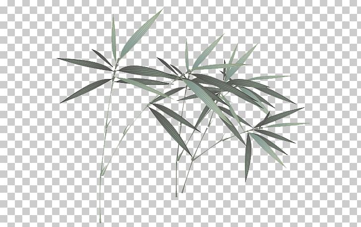 Towel Wet Wipe Bamboo Disposable Shower PNG, Clipart, Arecales, Bamboo Leaves, Black And White, Branch, Child Free PNG Download
