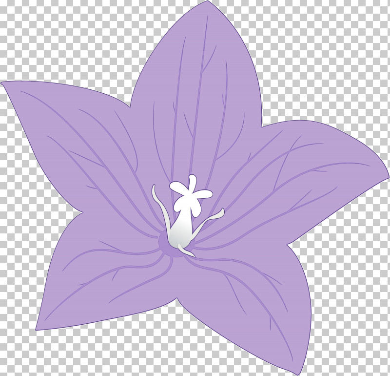 Lavender PNG, Clipart, Balloon Flower, Biology, Flora, Flower, Lavender Free PNG Download