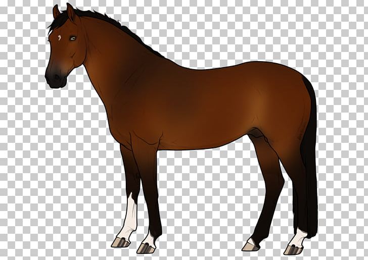Stallion Mare Pony Mane Akhal-Teke PNG, Clipart, Bay, Bit, Bridle, Brindle, Colt Free PNG Download