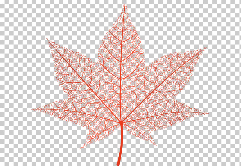 Maple Leaf PNG, Clipart, Black Maple, Leaf, Maple Leaf, Plane, Plant Free PNG Download