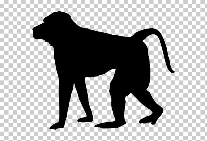 Baboons Mandrill Silhouette PNG, Clipart, African, Animal, Animal Rights, Animals, Animal Welfare Free PNG Download