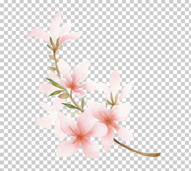 Blossom Drawing Peach Watercolor Painting PNG, Clipart, Art, Azalea, Blossom, Branch, Cherry Free PNG Download