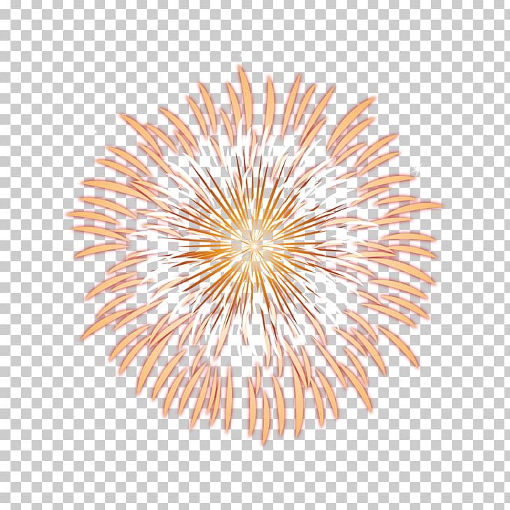 Fireworks Euclidean Computer File PNG, Clipart, Chinese, Chinese New Year, Circle, Download, Euclidean Vector Free PNG Download